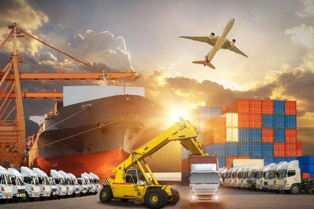 import export services.webp